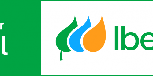 AAFF LOGOTIPO COLABORADOR OFICIAL HORIZONTAL PRINCIPAL 01 RGB.png